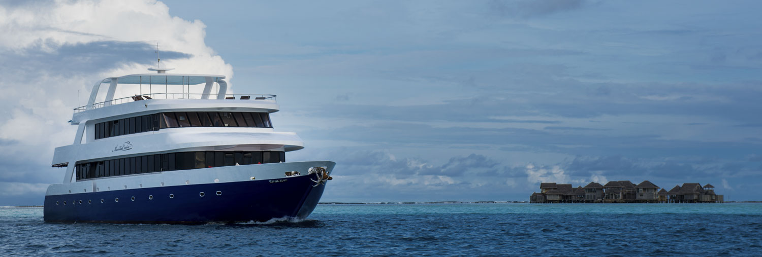 Manta Cruise Liveaboard Maldives