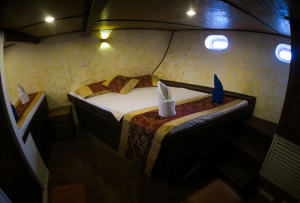 Room 4 - Manta Cruise Liveaboard - Twenty Six Atolls